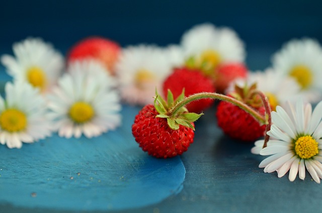 Perfumes con frutas del bosque para mujer