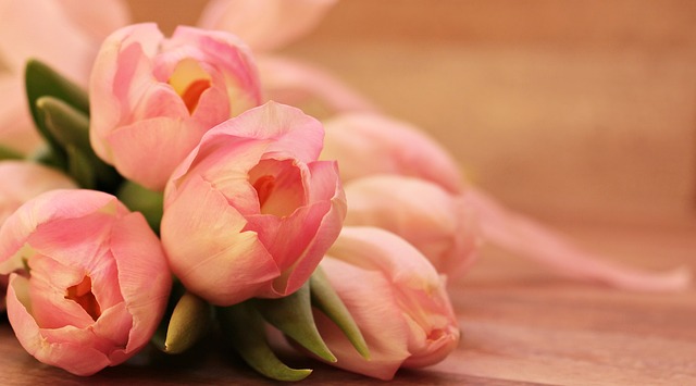 Perfumes con tulipán para mujer, un aroma diferente
