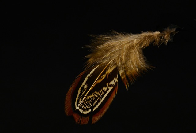 Las ventajas de elegir colonias ligeras a diario