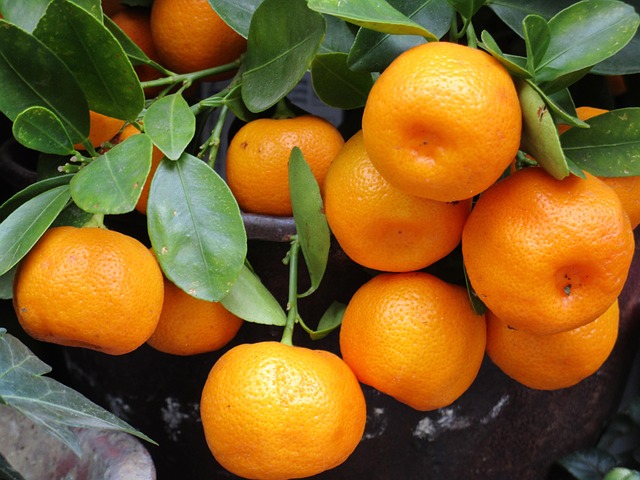 Perfume de mandarina para hombre: frescura cítrica con un carácter más profundo