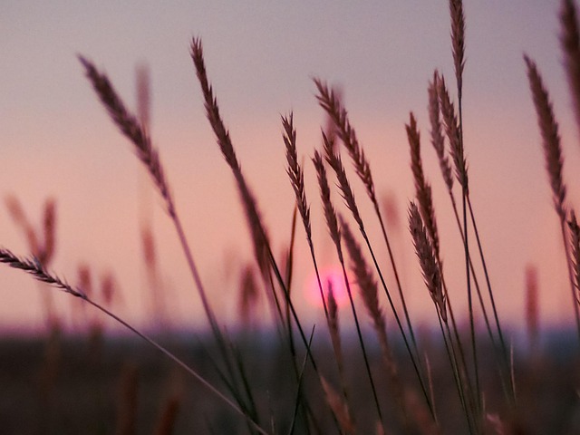 Perfume para noche de verano: aromas para cuando cae el sol y cambia el ambiente