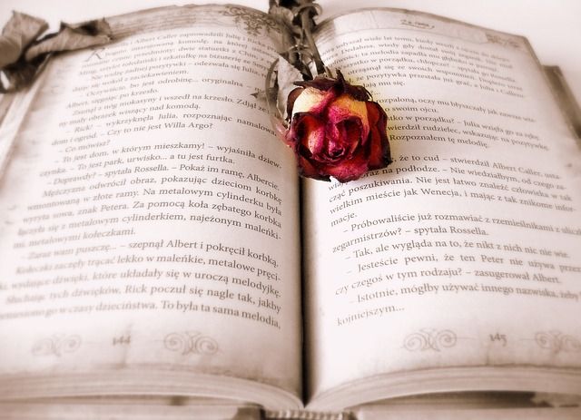 Libros para mujeres que deberías leer